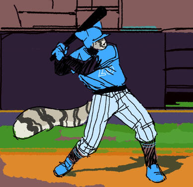 Baseball study